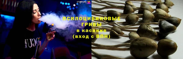 твердый Нея