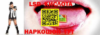 гидра Гусь-Хрустальный