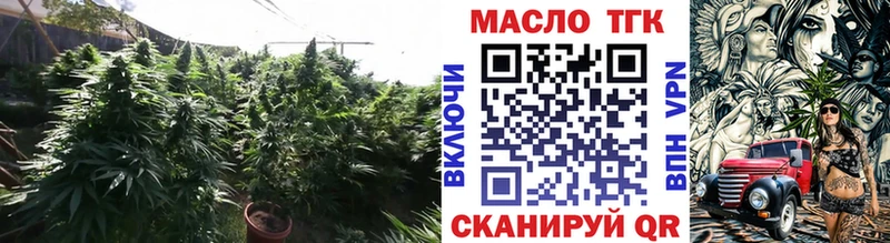 купить наркотики цена  Новозыбков  ТГК концентрат 